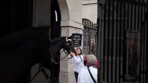 Women takes photos of the Horse poo #horseguardsparade