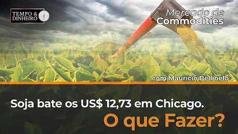 Soja bate os US$ 12,73 em Chicago. O que fazer?
