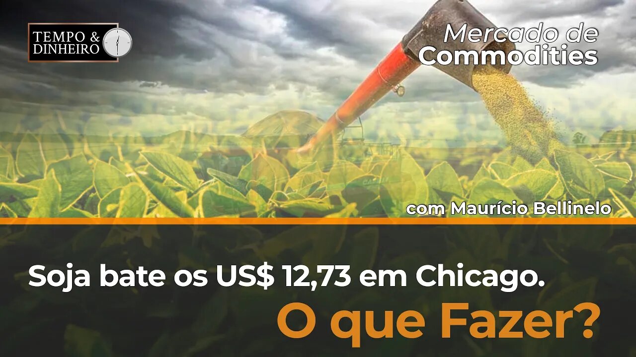 Soja bate os US$ 12,73 em Chicago. O que fazer?