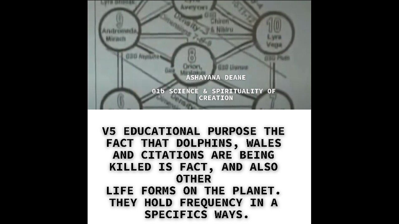 V5 EDUCATIONAL PURPOSE THE FACT THAT DOLPHINS, WALES AND CITATIONS ARE BEING KILLED IS FACT, AND ALS