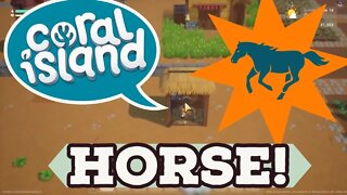 Coral Island Horse!!