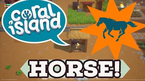 Coral Island Horse!!