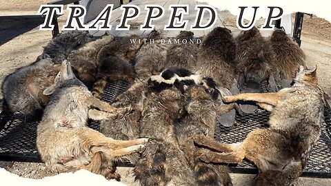 Trapped Up! With Damond - Eason Season