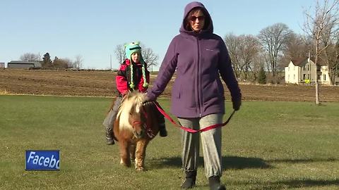 Whisper Hill Clydesdales seeking donations for a new home