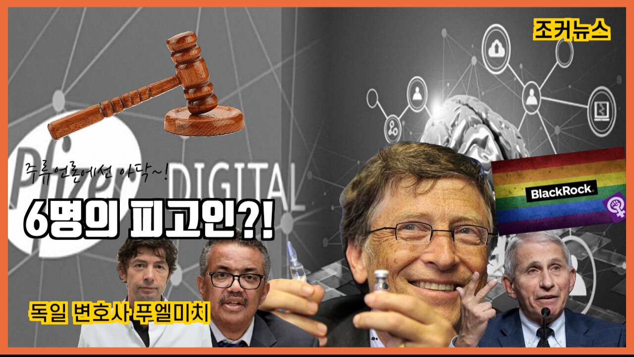 6명의 피고인-독일 변호사 푸엘미치