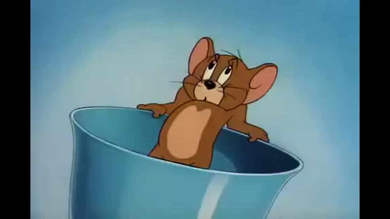 Tom seeing crush on saree