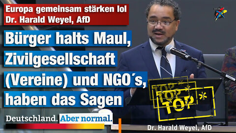 Europa gemeinsam stärken lol Dr. Harald Weyel, AfD