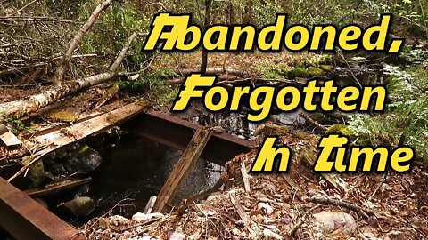 Old Abandoned Bridge Over a Pristine Mountain Stream