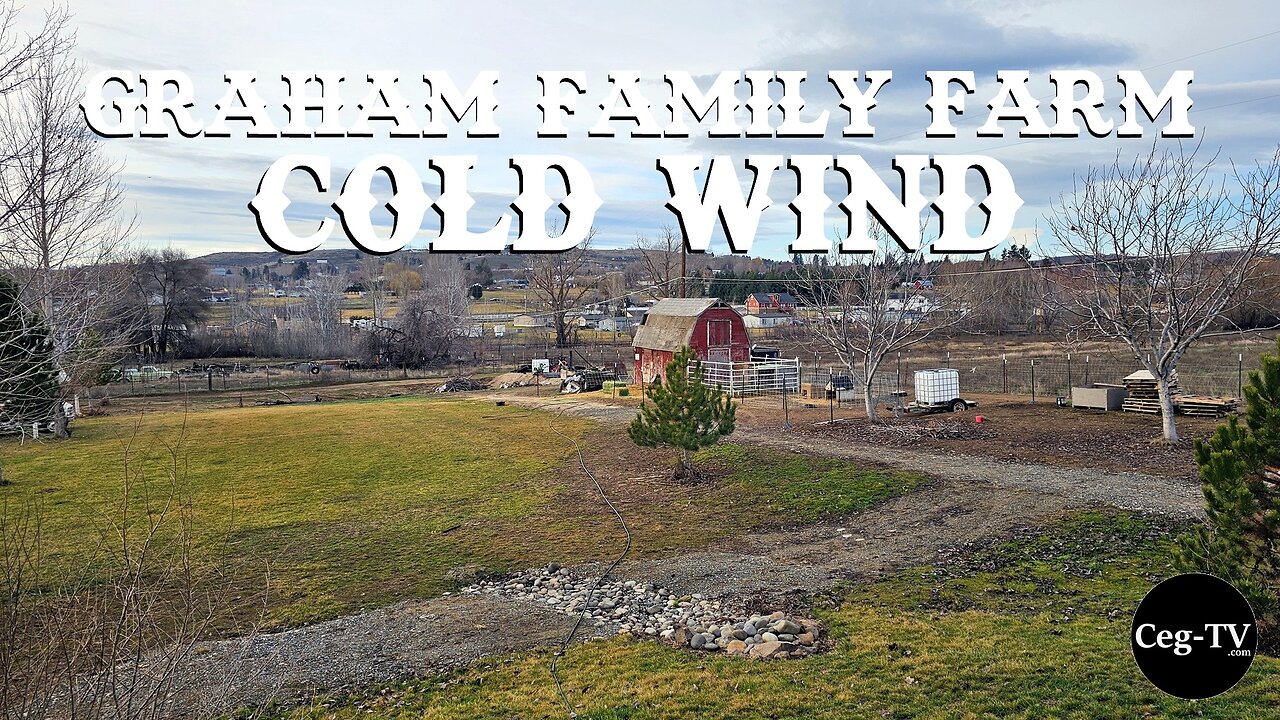 Graham Family Farm: Cold Wind