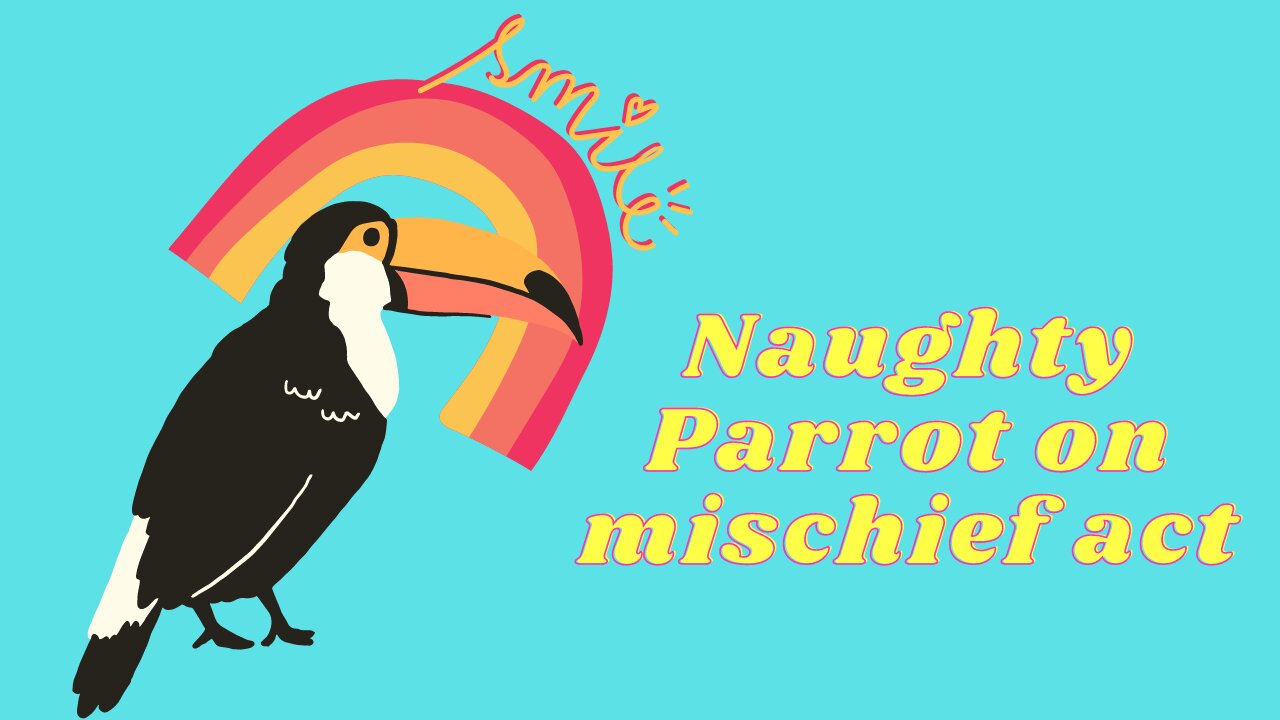 Naughty Parrot on mischief act