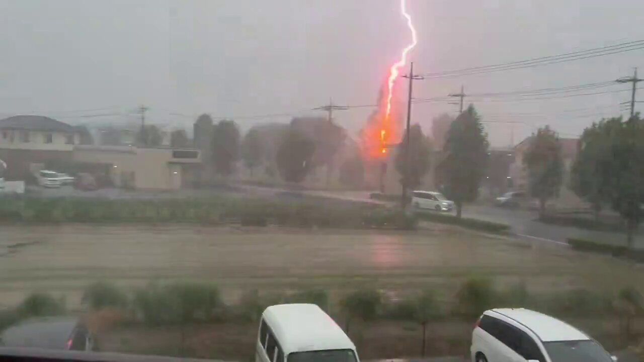 The moment lightning strikes a tree