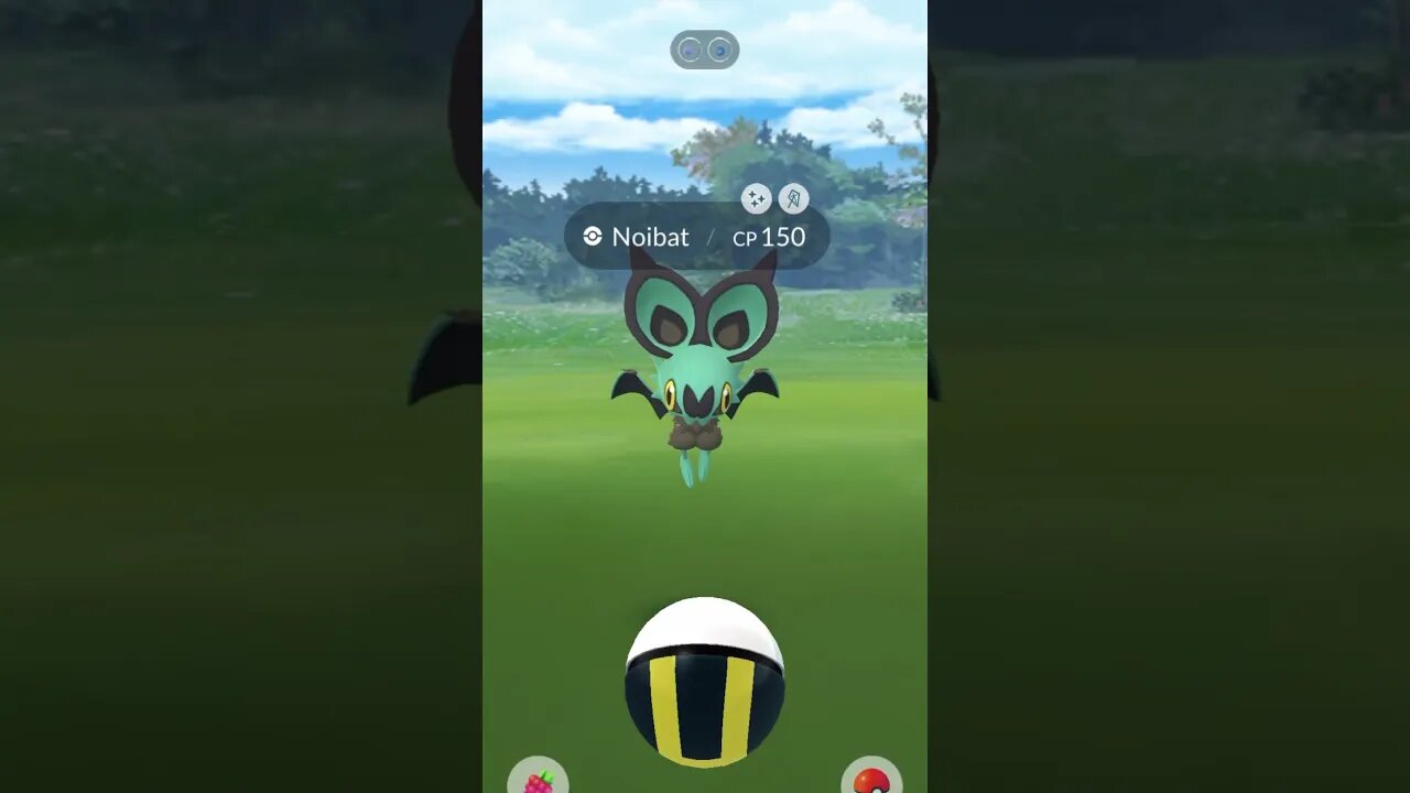 Shiny Noibat C-Day Compilation