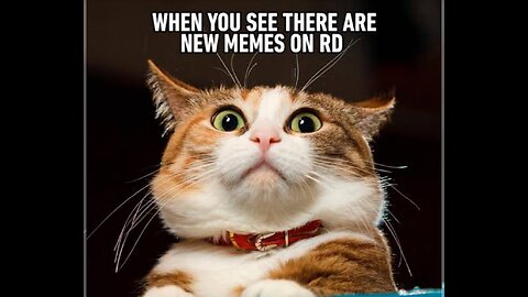 funny moments 😁😁😂😂