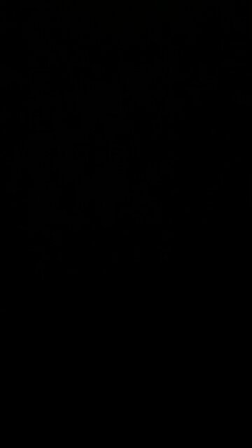 Trump recovered! 😀