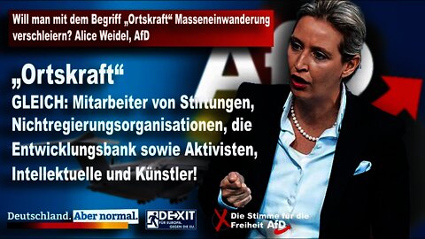 Will man mit dem Begriff „Ortskraft“ Masseneinwanderung verschleiern? Alice Weidel, AfD