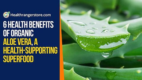 6 Health benefits of Organic Aloe Vera, a health-supporting superfood