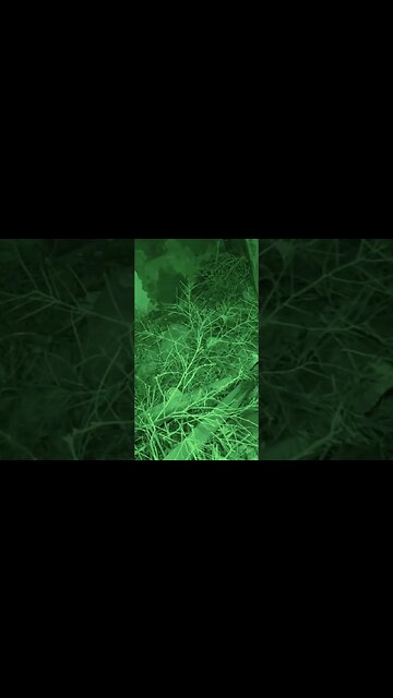 ❌ You HEAR that right?! ❌ Truckee River Murder House | Part 15 #paranormal