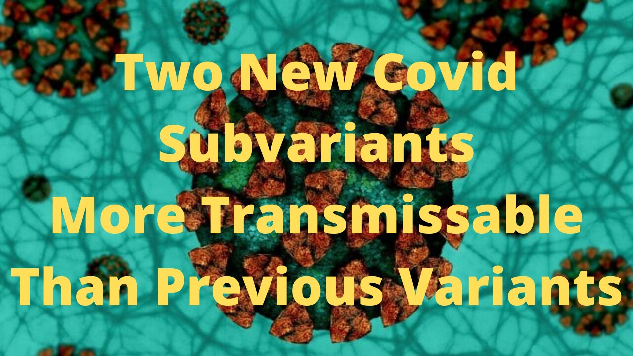 Two New Subvariants Which Are More Transmissable