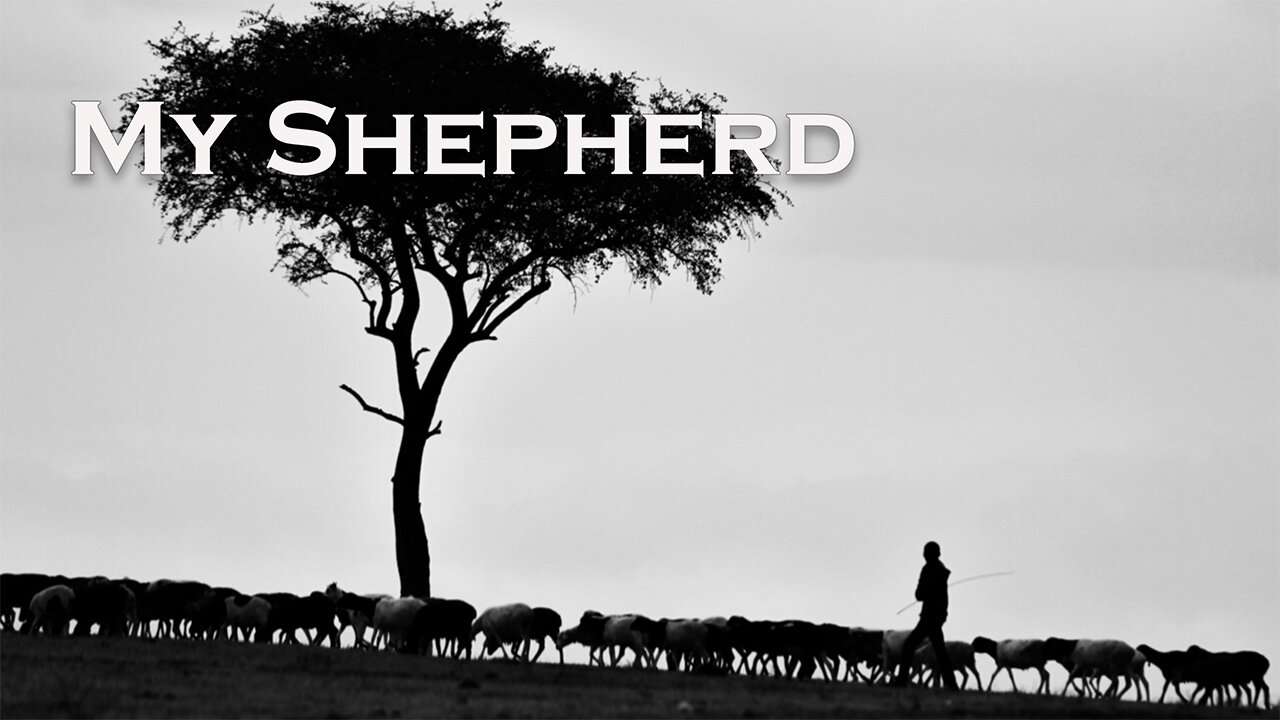 My Shepherd