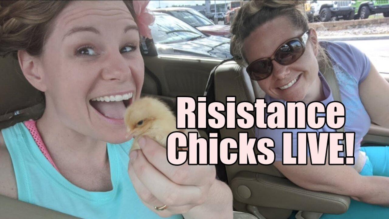 Resistance Chicks LIVE! Prince Andrew Outed. B2T Show Jan 18, 2022