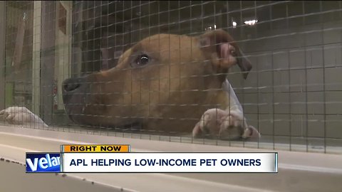 The Cleveland APL is providing help to families, pets in need through Project Care