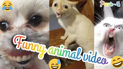 Best Funniest Animal Videos 2023 😅 - Funny Cats And Dogs Videos #2 😂