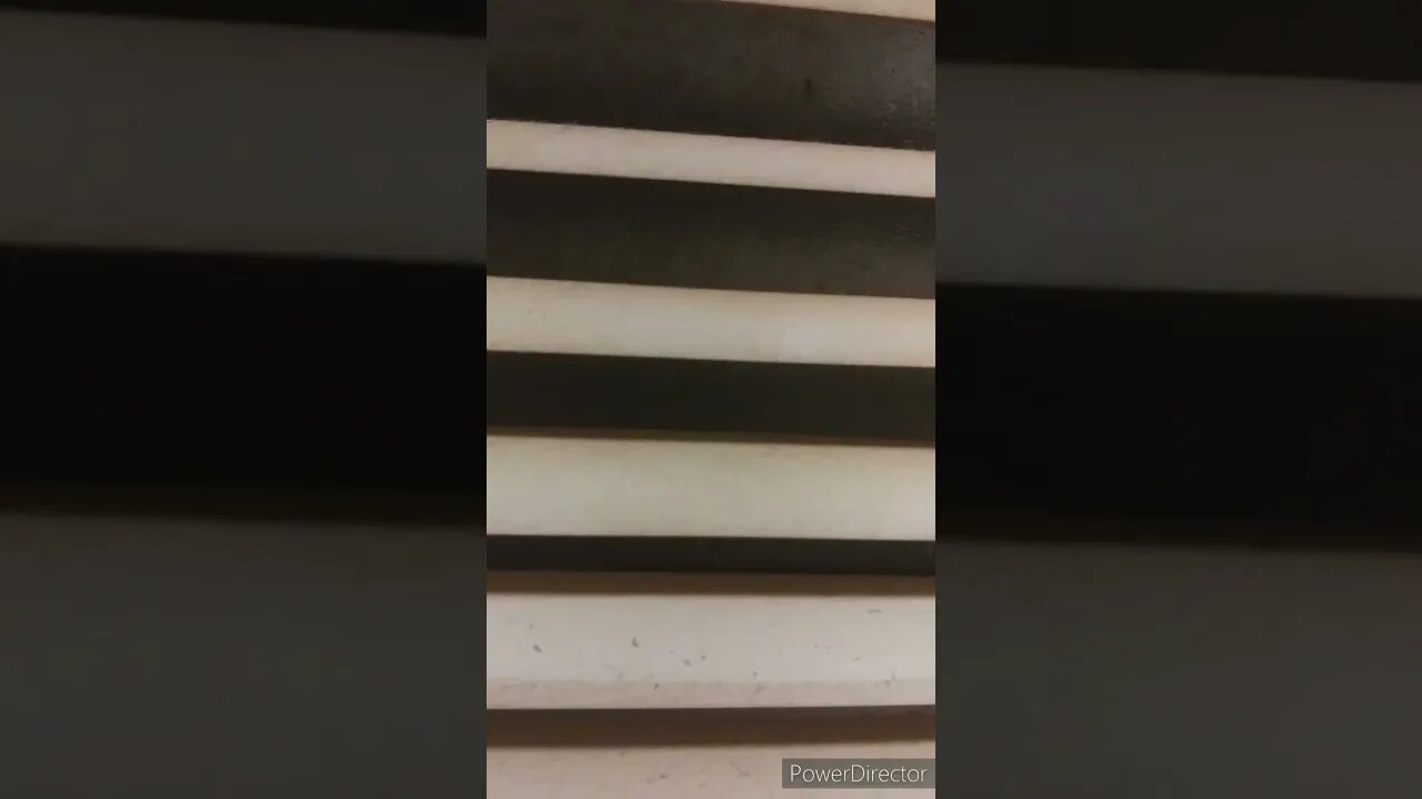DID YOU SEE THE SIZE OF THAT?