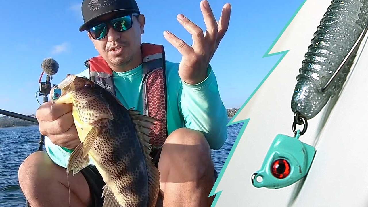 it's really Biting!! | Spotted Bay Bass | Warbaits Fishing