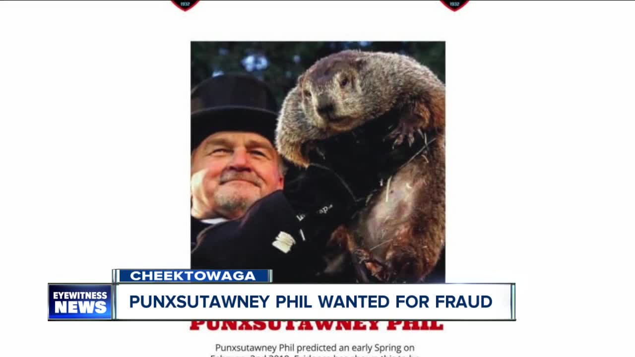 Cheektowaga police looking for Punxsutawney Phil for fraud