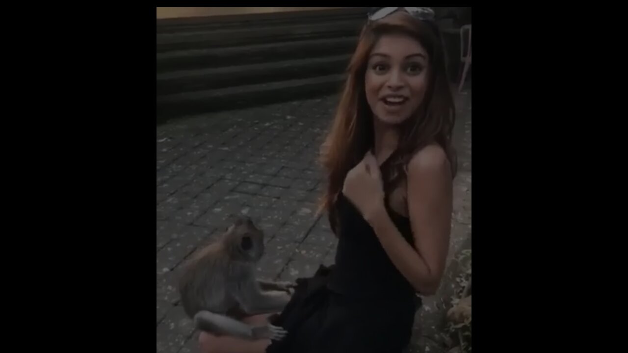 Funny Monkey doing funn with cute girl😃😂