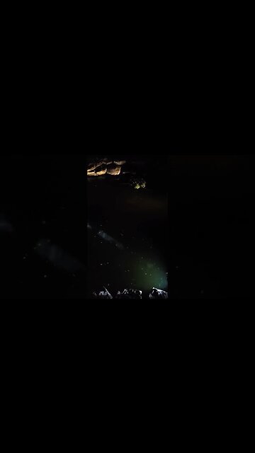 Feeding The Catfish And Happy To Answer Any Questions About My Set Up #homesteading