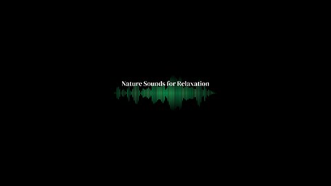 Nature Sounds for Focus, Relaxation & Deep Sleep