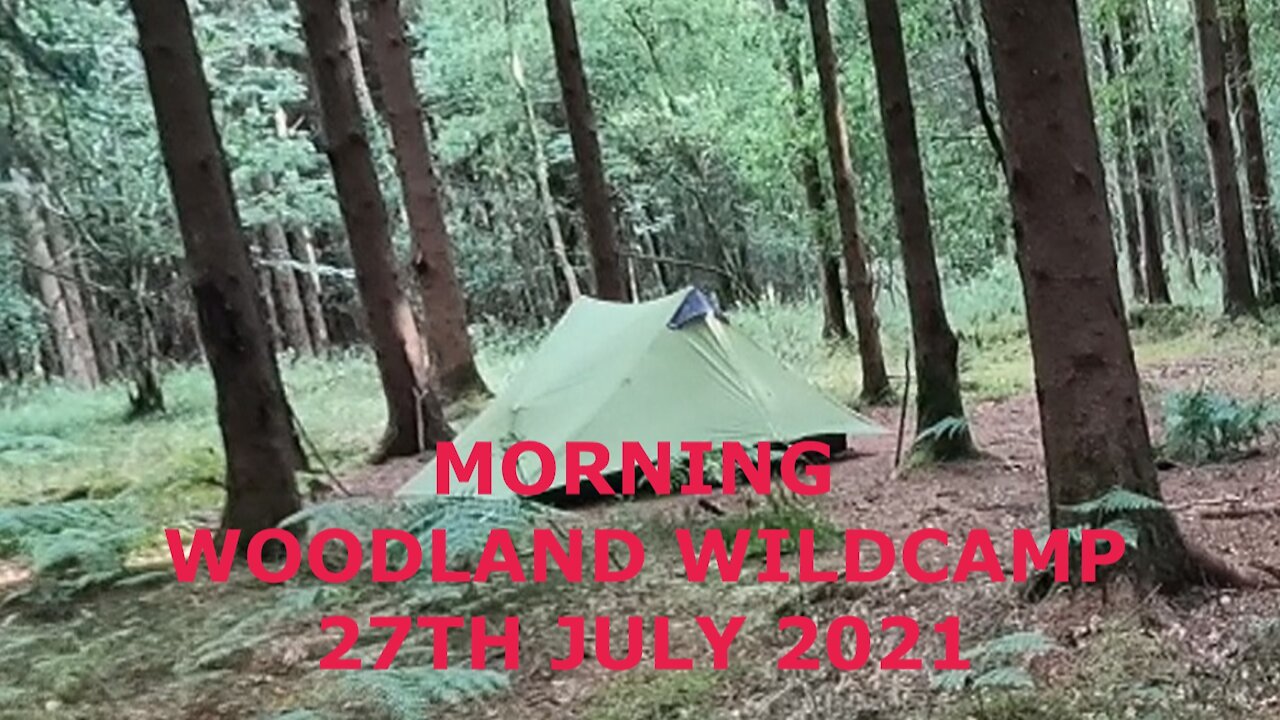 Waking up in the Lanshan 2 while wildcamping in the woods