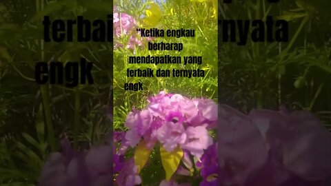 Kata Motivasi "BERHARAP YANG TERBAIK MENDAPATKAN YANG BIASA" #shorts #shortskatakatabijak