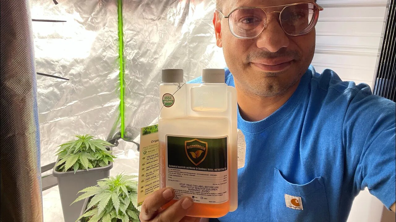 Organishield bug control | How to apply