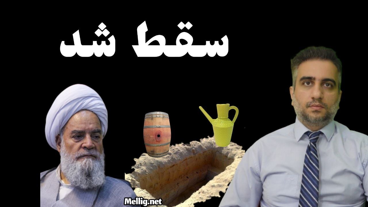 آیت الله فاضل گلپایگانی سقط شد