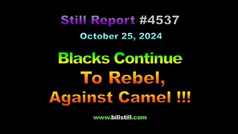 Blacks Continue to Rebel Against Camel, !!!, 4537