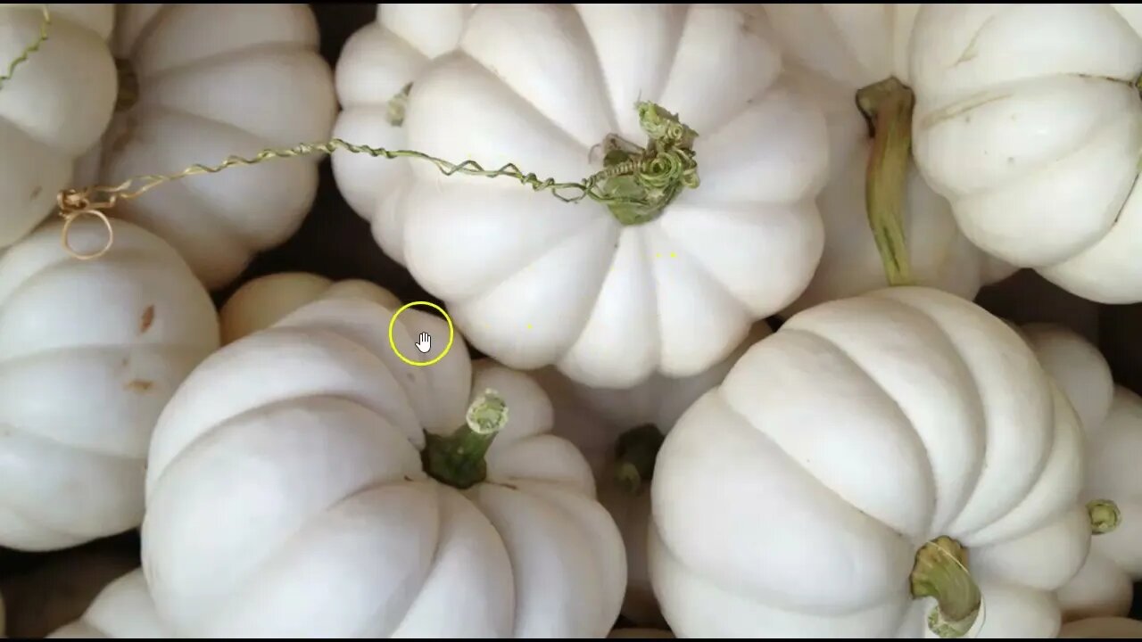 Wordle of the Day for October 26, 2022 ... Happy Pumpkin Day!