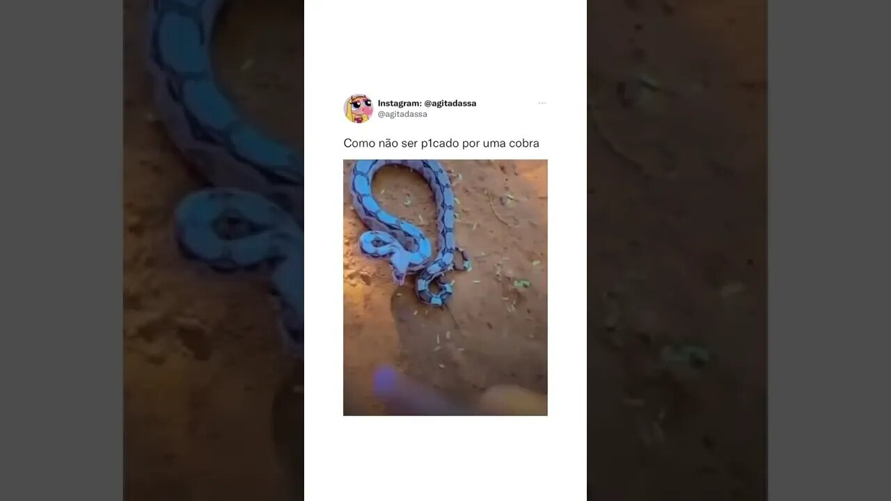 Não faça em casa 😂😂