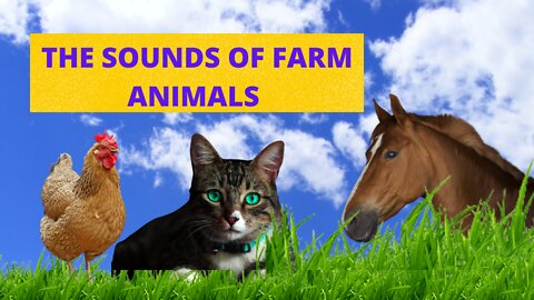 SOUNDS OF FARM ANIMALS