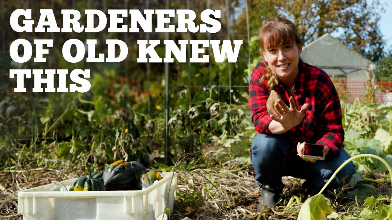 Fall Garden Tour: Secrets to Storing Your Final Harvest All Winter