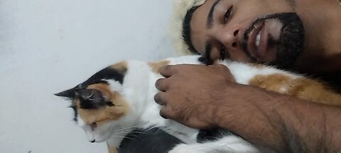 minha gatinha