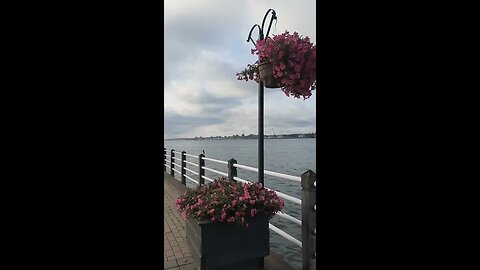 Sault Boardwalk