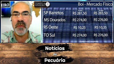 Boi gordo perde R$21@ em agosto e indicador acumulou queda de 5% no mês