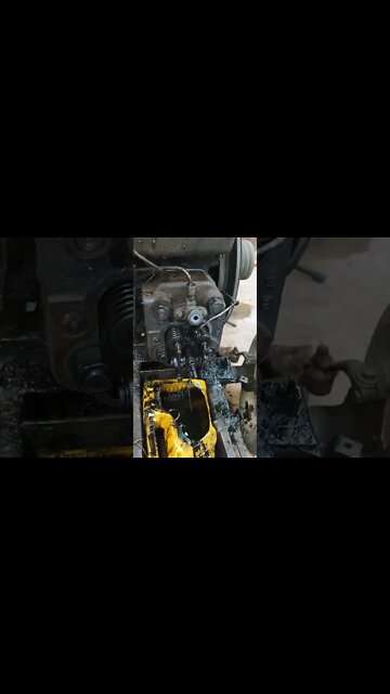 #shorts #2022 funny,prank,funjokes,dad jokes,funny memes,funny video,fun,laughing,funny animal,knock