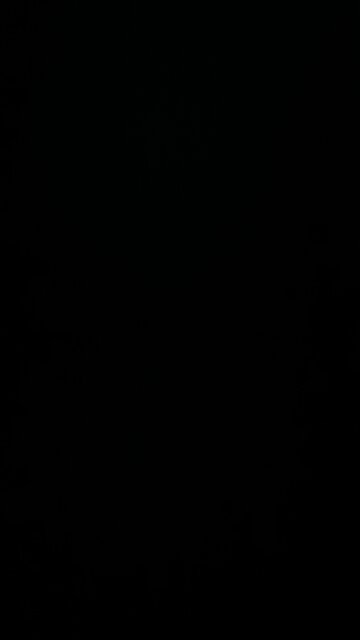 Sexist for believing that unborn babies are human