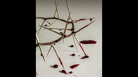 Understand the Bible - From a Workman Approved unto God by His Grace