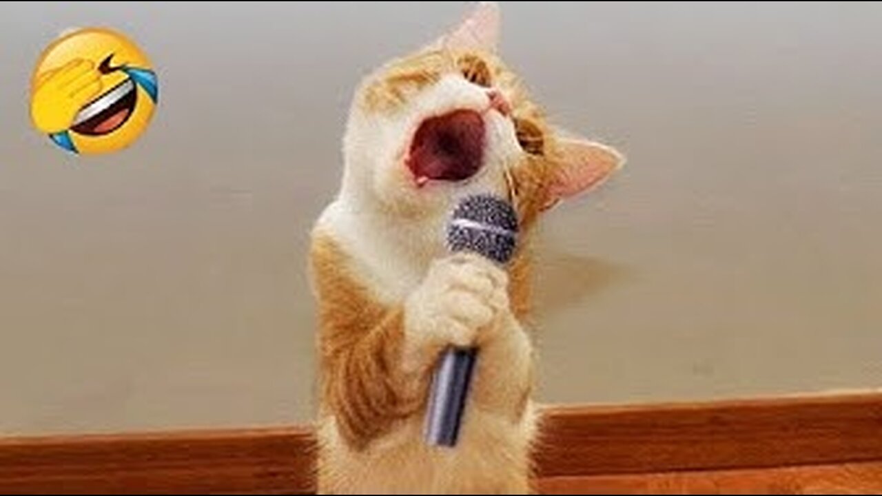 THE BEST CUTE AND FUNNY ANIMAL VIDEOS OF 2023