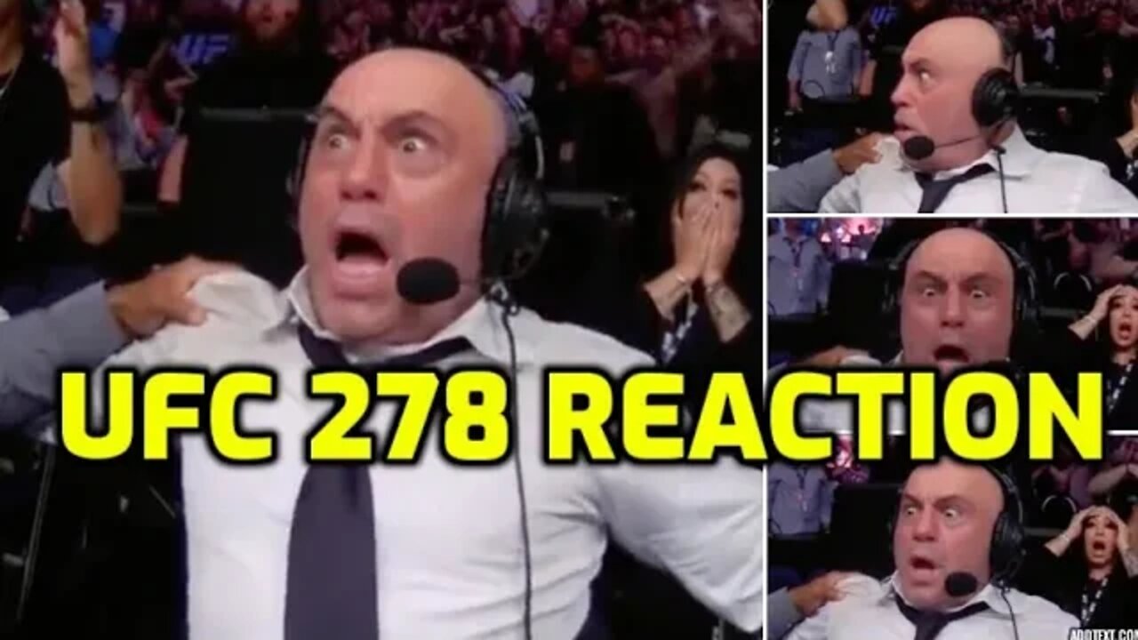 UFC 278 reaction - bonkers event