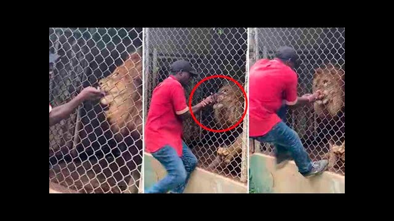 🔴Damn Nature You Scary | Rare & Scary Animal Encounters 😱